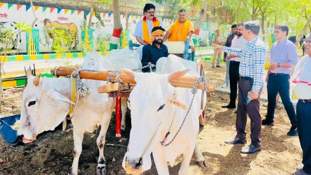 यूपी के हर जिले में खुलेंगी पंचगव्य-औषधि, गो-पेंट और जैविक खाद की यूनिटें